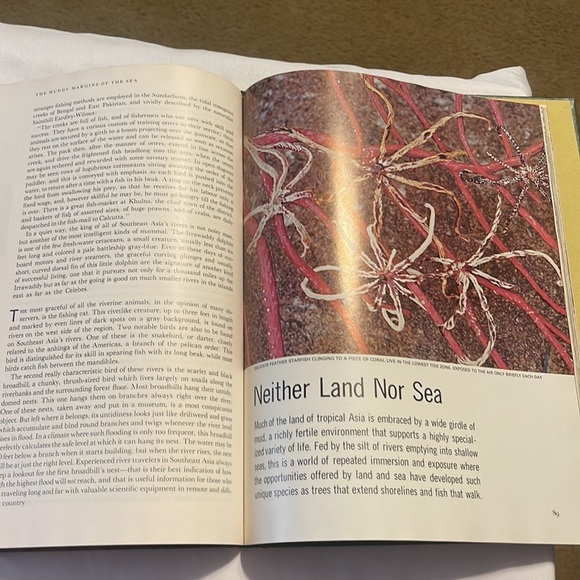 Life, nature library book - Picture 3 of 4